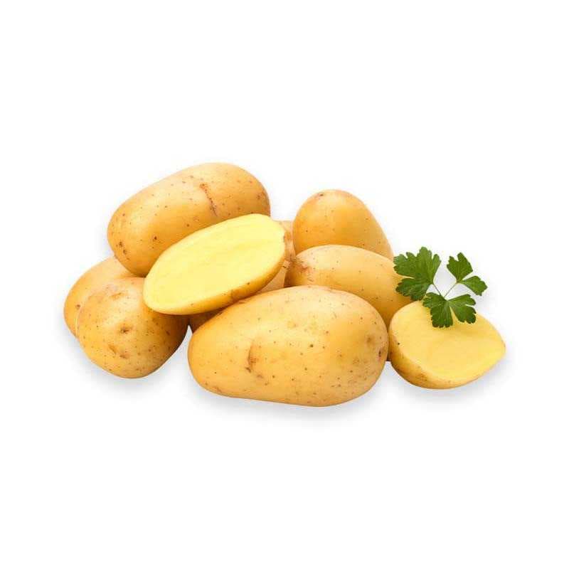 Ecuador Red Potato - 2
